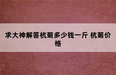 求大神解答杭菊多少钱一斤 杭菊价格